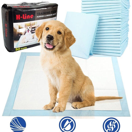 Heavy-Duty Absorbent Dog Training Pads